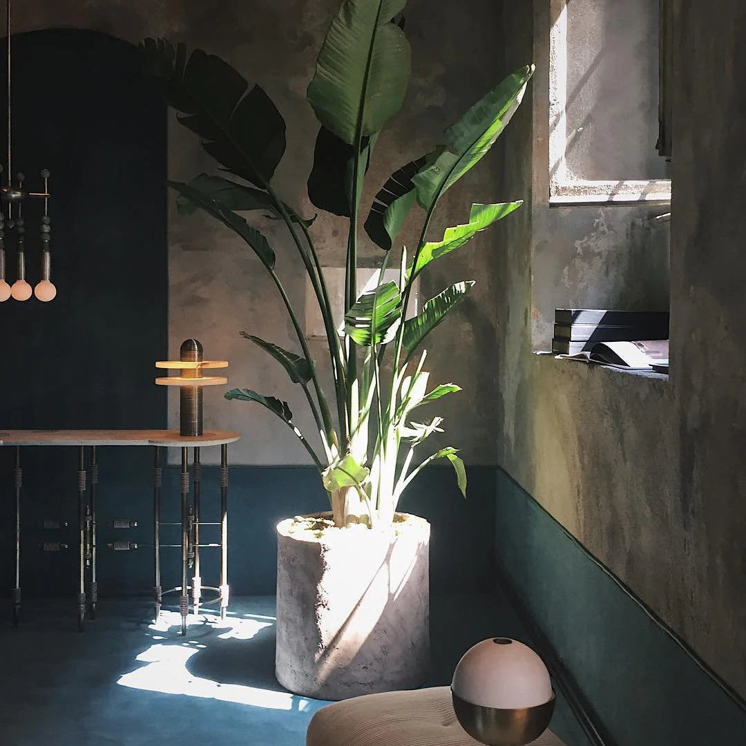 Alabaster Comet Table Lamp - Pre Order