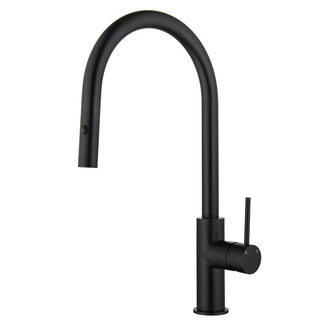 Bloom Pull-out Sink Mixer- Eclipse Home