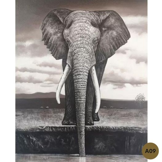 Modern stainless steel elephant artwork for living room or office walls