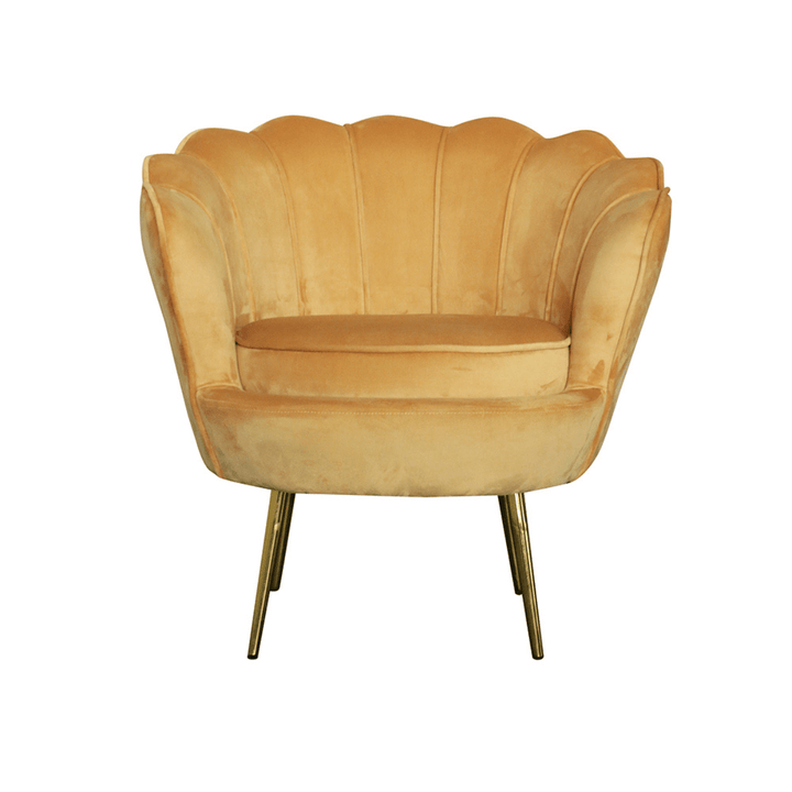 Rio Velvet Modern 1-Seater Sofa – Front View of Elegant and Comfortable Single Seating