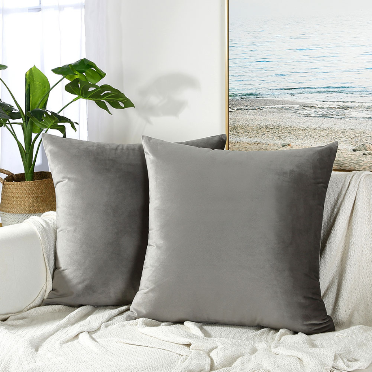Velvet Cushions in Australia – Soft and Elegant Decorative Cushions for Home Interiors